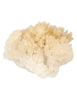 Stalactite with Aragonite|Crystallized gemstone| 95 x 75 x 70 mm