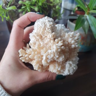 Stalactite with Aragonite|Crystallized gemstone| 95 x 75 x 70 mm