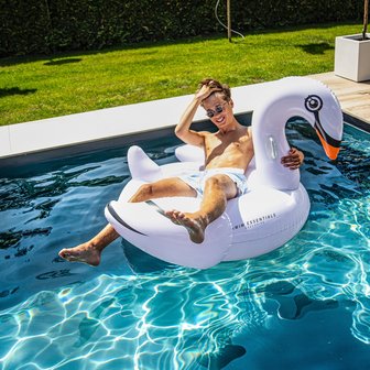 Inflatable White Swan|Inflatable figure|Water toy|Swan Air matress