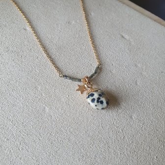 Dalmatier Jaspis ketting|Edelsteen sieraad|Goudkleurig