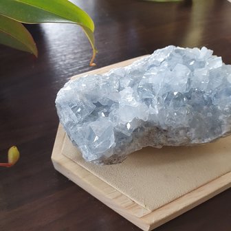Celestine raw Large|Crystallized Gemstone|A-Quality|115 x 65 x 45 mm