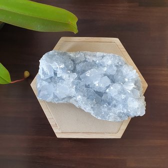 Celestien ruw Large|Gekristalliseerde edelsteen|A-Kwaliteit|115 x 65 x 45 mm