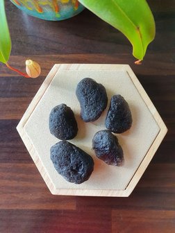 Agni Manitite|Pseudo Tektite|Pearl of Fire gemstone|Medium 3-5cm