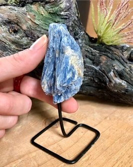 Blauwe kyaniet op standaard|Kyanite metalen staander|8-12cm hoog
