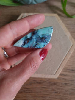 Blauwe Opaal versteend hout|Natuurlijk koper|Cabochon cabs