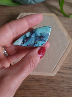 Blue opal petrified wood|Natural copper|Cabs Cabochon