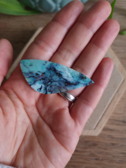 Blue opal petrified wood|Natural copper|Cabs Cabochon