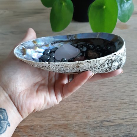 Abalone cleansing shell|Hematite stones|Cleanse crystals