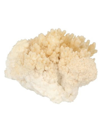 Stalactite with Aragonite|Crystallized gemstone| 95 x 75 x 70 mm