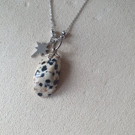 Dalmatier Jaspis ketting Speckled|Edelsteen sieraad|Zilverkleurig