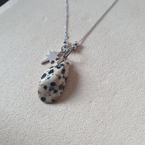 Dalmatier Jaspis ketting Speckled|Edelsteen sieraad|Zilverkleurig
