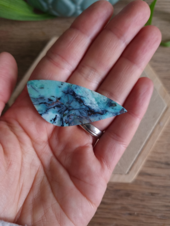 Blauwe Opaal versteend hout|Natuurlijk koper|Cabochon cabs